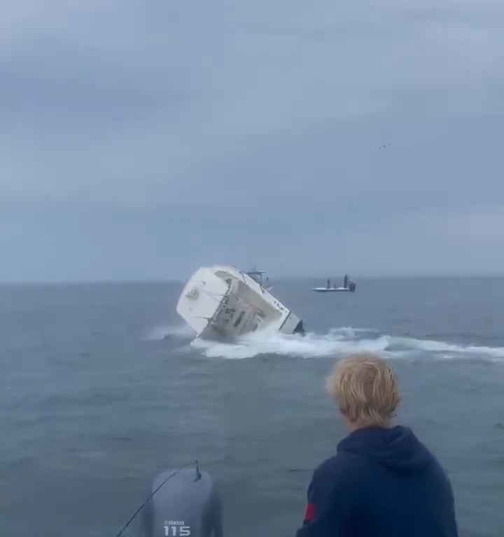 Ballena salta a un barco pesquero y lo hunde: increíble video