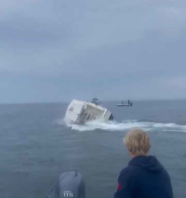 Ballena salta a un barco pesquero y lo hunde: increíble video