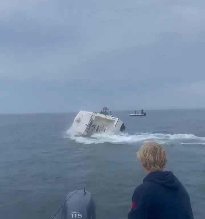 Ballena salta a un barco pesquero y lo hunde: increíble video