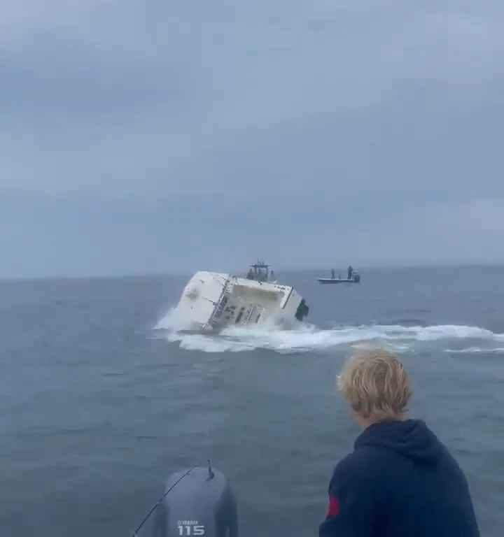 Ballena salta a un barco pesquero y lo hunde: increíble video