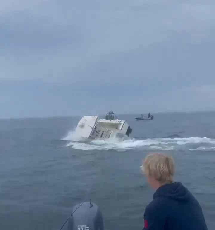 Ballena salta a un barco pesquero y lo hunde: increíble video