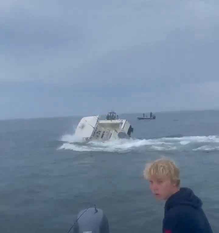 Ballena salta a un barco pesquero y lo hunde: increíble video