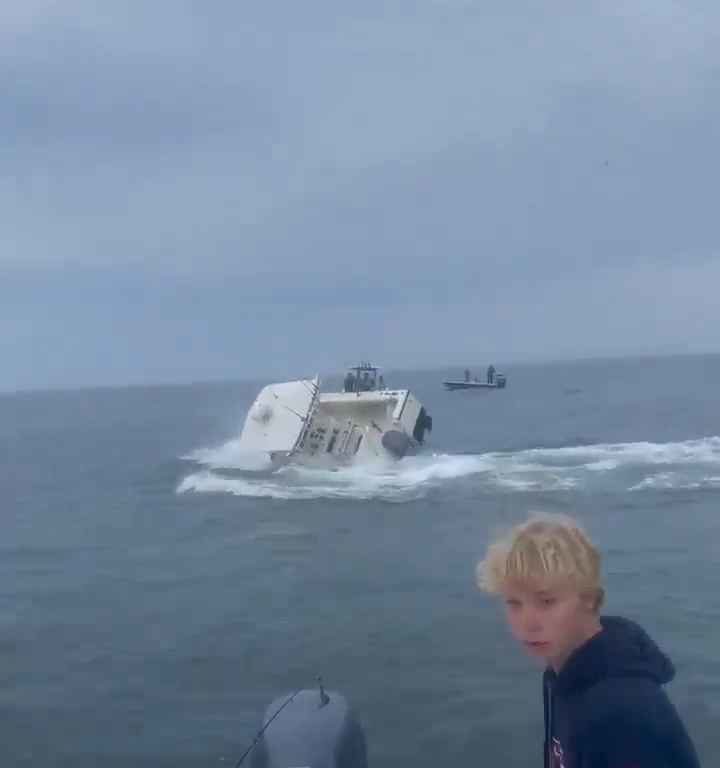 Ballena salta a un barco pesquero y lo hunde: increíble video