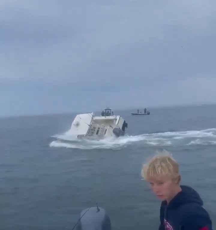 Ballena salta a un barco pesquero y lo hunde: increíble video