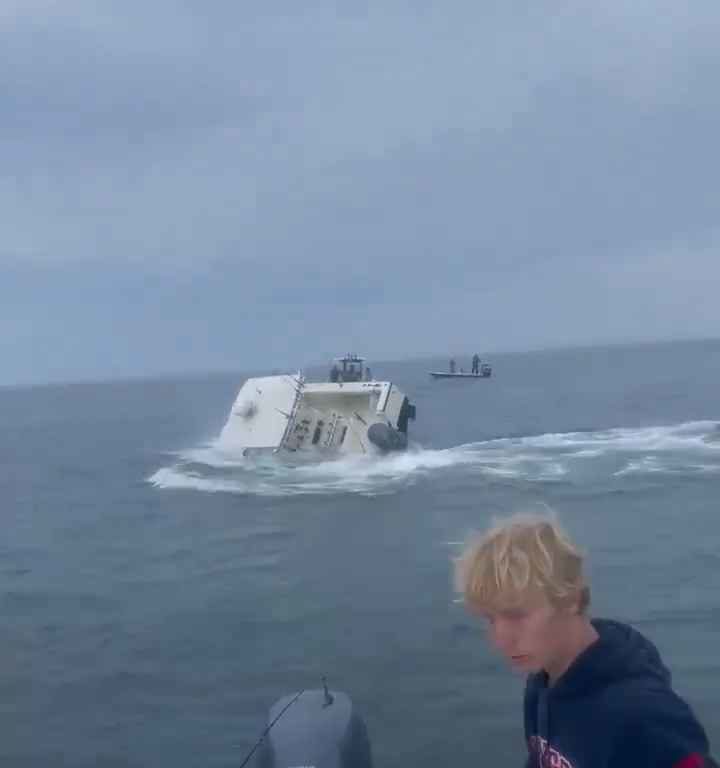 Ballena salta a un barco pesquero y lo hunde: increíble video