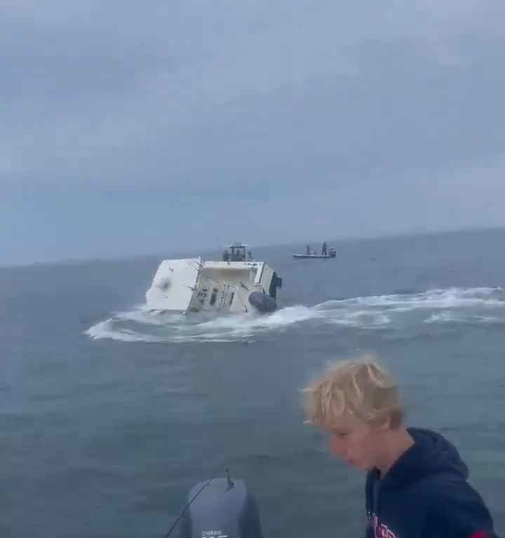 Wal springt auf ein Fischerboot und versenkt es: unglaubliches Video