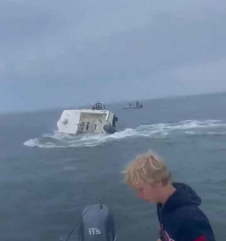 Ballena salta a un barco pesquero y lo hunde: increíble video