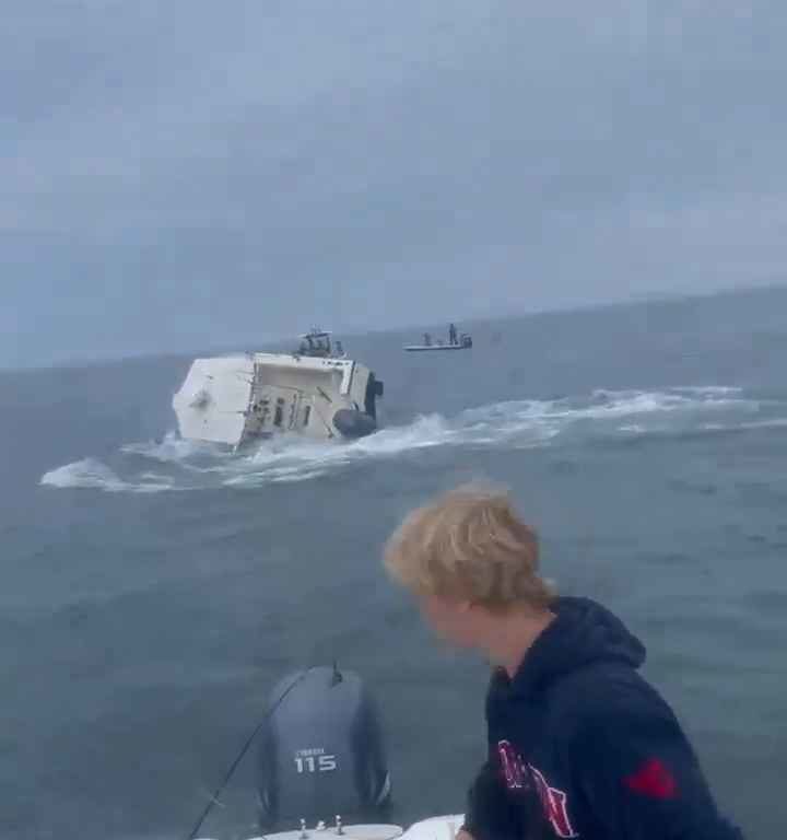 Balena salta su una barca di pescatori e la affonda: video incredibile