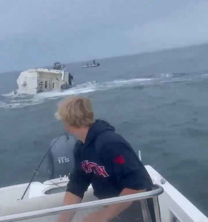 Une baleine saute sur un bateau de pêche et le coule : vidéo incroyable