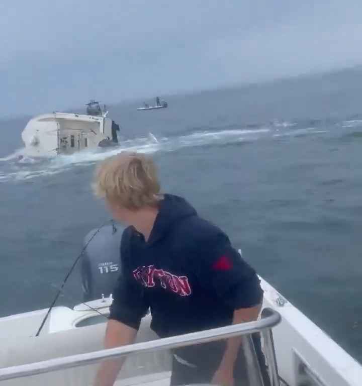 Ballena salta a un barco pesquero y lo hunde: increíble video