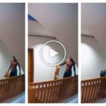 Tira a un cachorro por las escaleras pero los vecinos lo filman: arrestado