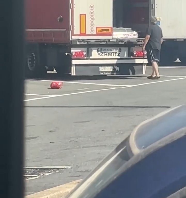 Un chauffeur de camion trouve des migrants à bord et les chasse avec des ceintures : vidéo virale