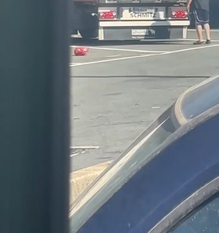 Un chauffeur de camion trouve des migrants à bord et les chasse avec des ceintures : vidéo virale