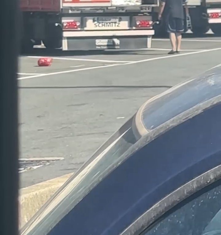 Un chauffeur de camion trouve des migrants à bord et les chasse avec des ceintures : vidéo virale