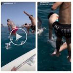 Trampa cruel para gaviotas, atraerlas y luego lanzar una bomba para lastimarlas impactante video