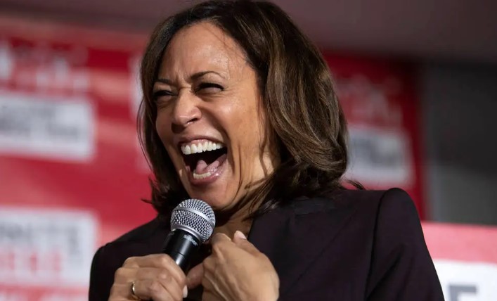 Dal nome al cocco fino al vasino: sette curiosità che non sapevi di Kamala Harris