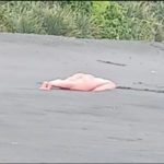 Mujer muerta desnuda en la playa, llama a la policía pero era una muñeca adulta