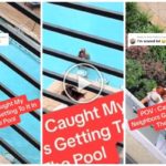 Filma a una pareja haciendo el amor en una piscina comunitaria y los humilla: "Vuelve a ponerte las bragas"