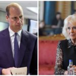 William despidió a la hermana de la reina, Camilla