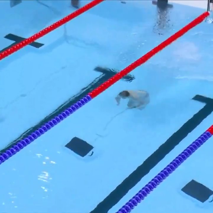 Paris 2024, un héros mystérieux sauve une course de natation : voici qui est "Bob le receveur de casquettes"