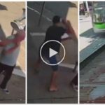 Niño le roba el celular a un anciano pero es atropellado por un autobús: muerto en TV en vivo