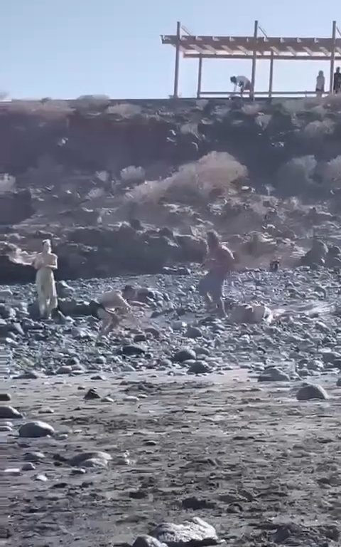 Scopre ladro in spiaggia, turista lo massacra a colpi di ombrellone: video