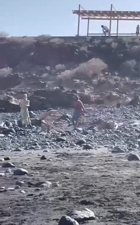 Scopre ladro in spiaggia, turista lo massacra a colpi di ombrellone: video