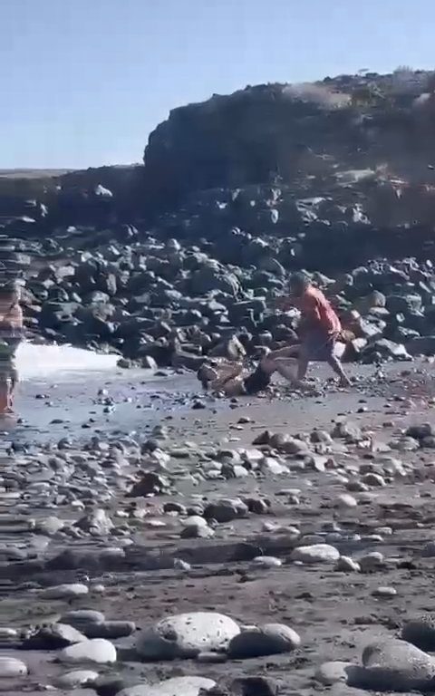 Scopre ladro in spiaggia, turista lo massacra a colpi di ombrellone: video