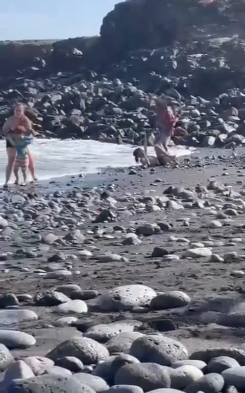 Scopre ladro in spiaggia, turista lo massacra a colpi di ombrellone: video