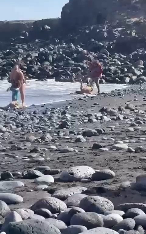 Scopre ladro in spiaggia, turista lo massacra a colpi di ombrellone: video