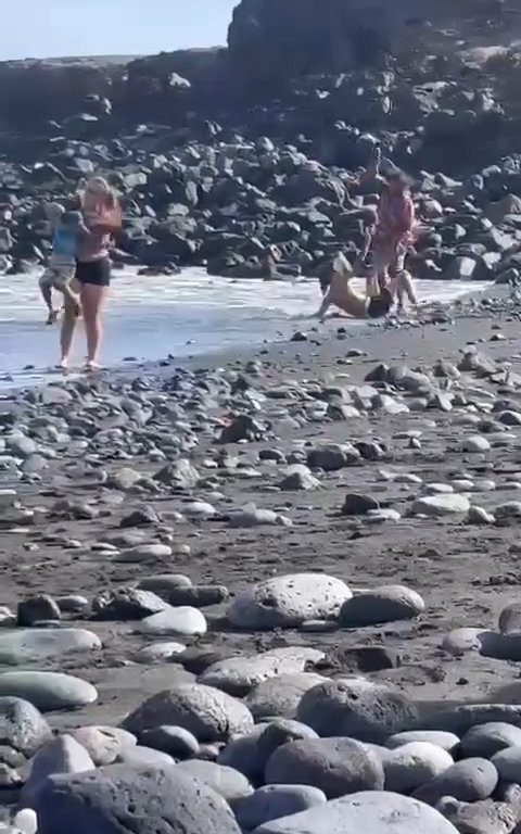 Scopre ladro in spiaggia, turista lo massacra a colpi di ombrellone: video