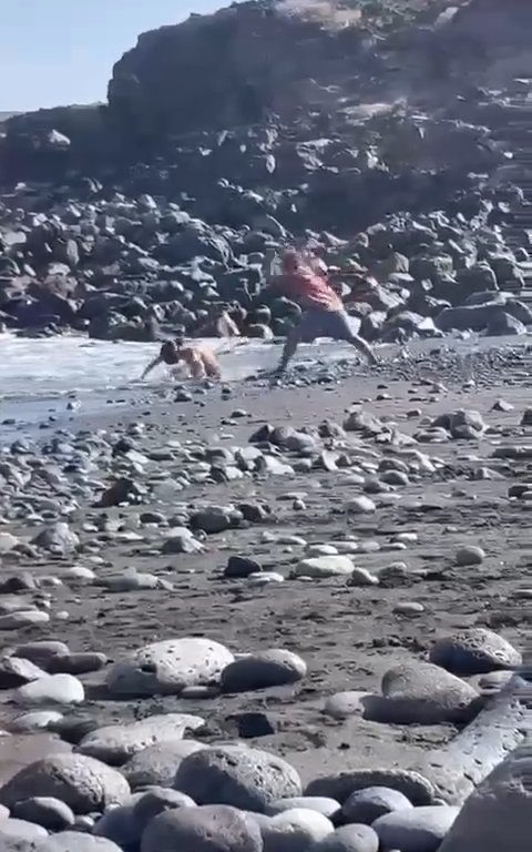 Scopre ladro in spiaggia, turista lo massacra a colpi di ombrellone: video