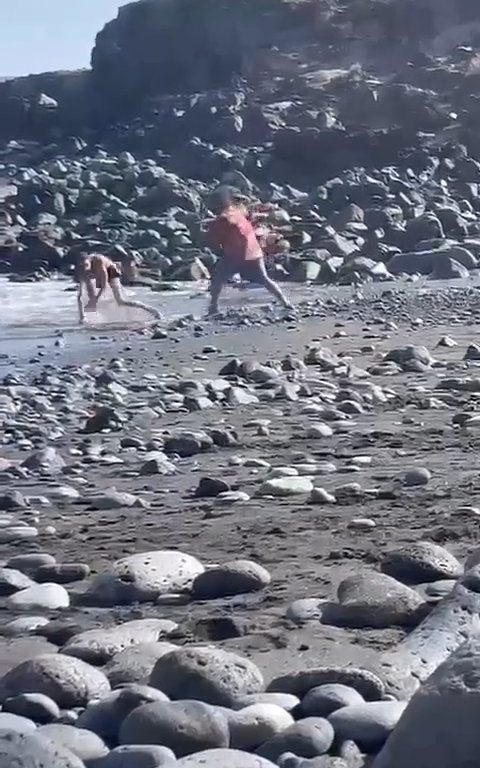 Scopre ladro in spiaggia, turista lo massacra a colpi di ombrellone: video