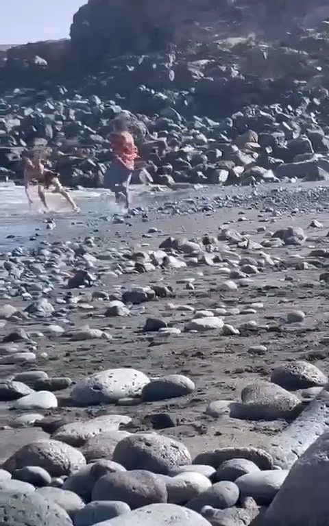 Scopre ladro in spiaggia, turista lo massacra a colpi di ombrellone: video