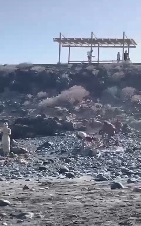 Scopre ladro in spiaggia, turista lo massacra a colpi di ombrellone: video