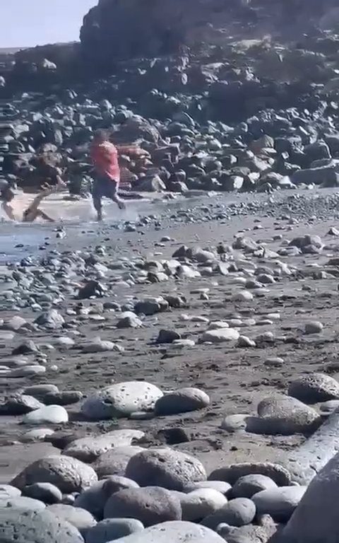 Scopre ladro in spiaggia, turista lo massacra a colpi di ombrellone: video