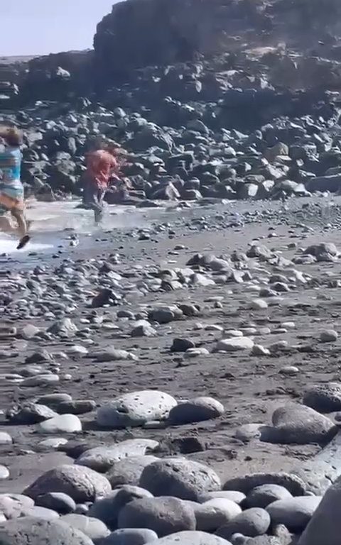 Scopre ladro in spiaggia, turista lo massacra a colpi di ombrellone: video