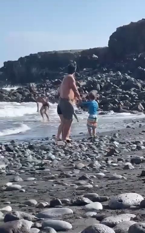 Scopre ladro in spiaggia, turista lo massacra a colpi di ombrellone: video