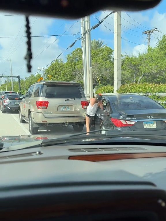 Ubriaca litiga in strada e si investe da sola: l'incredibile video