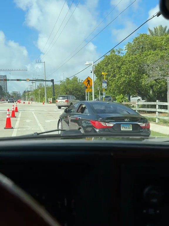 Ubriaca litiga in strada e si investe da sola: l'incredibile video