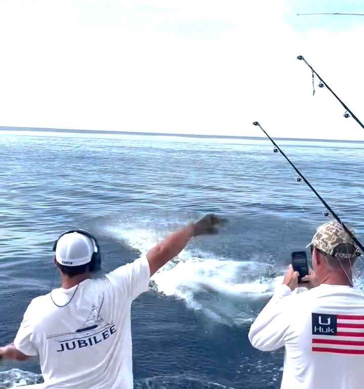 Venganza del marlin, salta al barco y casi masacra al pescador: video