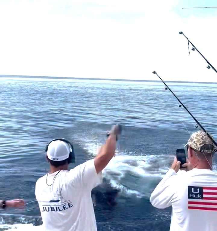 Vendetta del marlin, salta sulla barca e quasi sgozza il pescatore: video