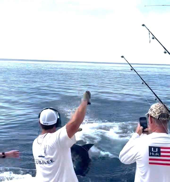 Venganza del marlin, salta al barco y casi masacra al pescador: video