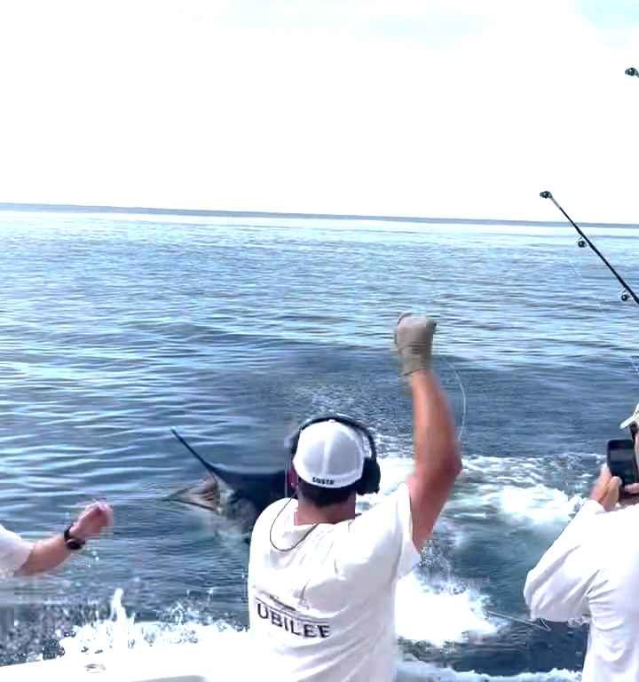 Vengeance du marlin, il saute sur le bateau et manque de massacrer le pêcheur : vidéo