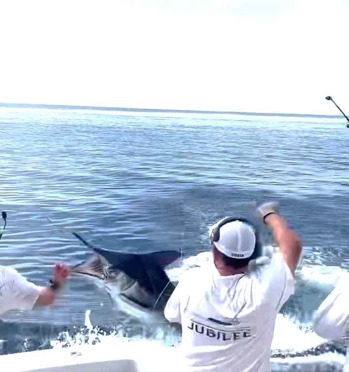 Vendetta del marlin, salta sulla barca e quasi sgozza il pescatore: video