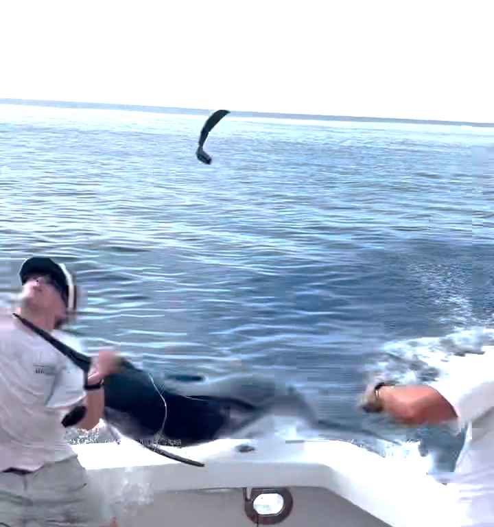 Venganza del marlin, salta al barco y casi masacra al pescador: video