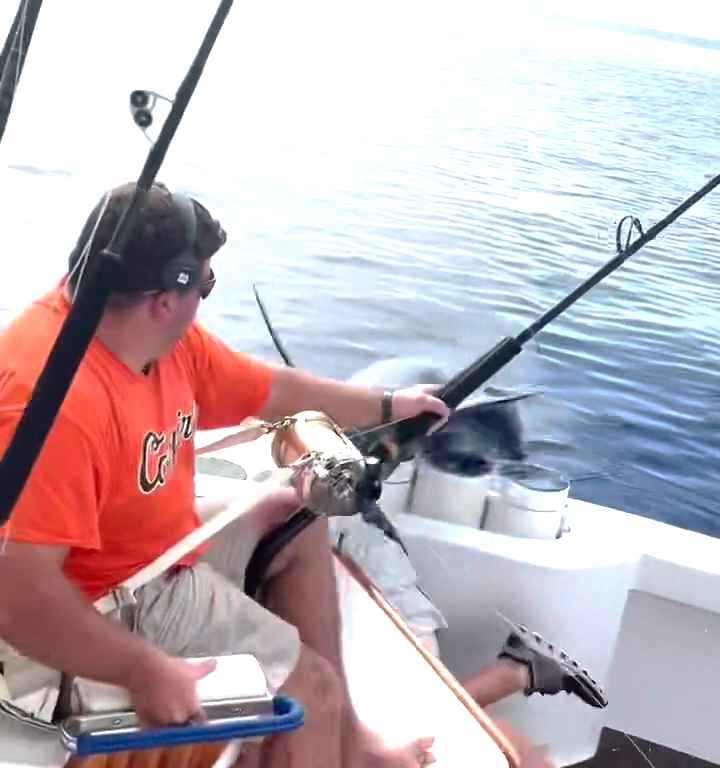 Venganza del marlin, salta al barco y casi masacra al pescador: video