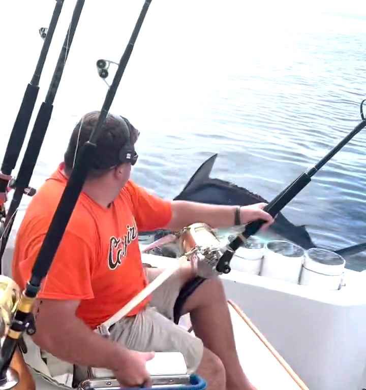 Venganza del marlin, salta al barco y casi masacra al pescador: video