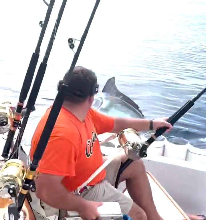 Venganza del marlin, salta al barco y casi masacra al pescador: video