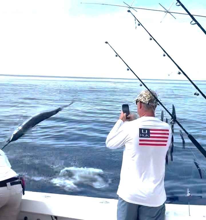 Venganza del marlin, salta al barco y casi masacra al pescador: video